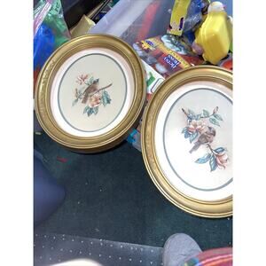 2 Oval Home Interior Pictures Of Birds With Pink Green Background